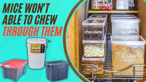 can mice chew through sheet metal|best mouse proof storage containers.